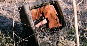 0cdd2 business 2240554690 95ed5f900d b