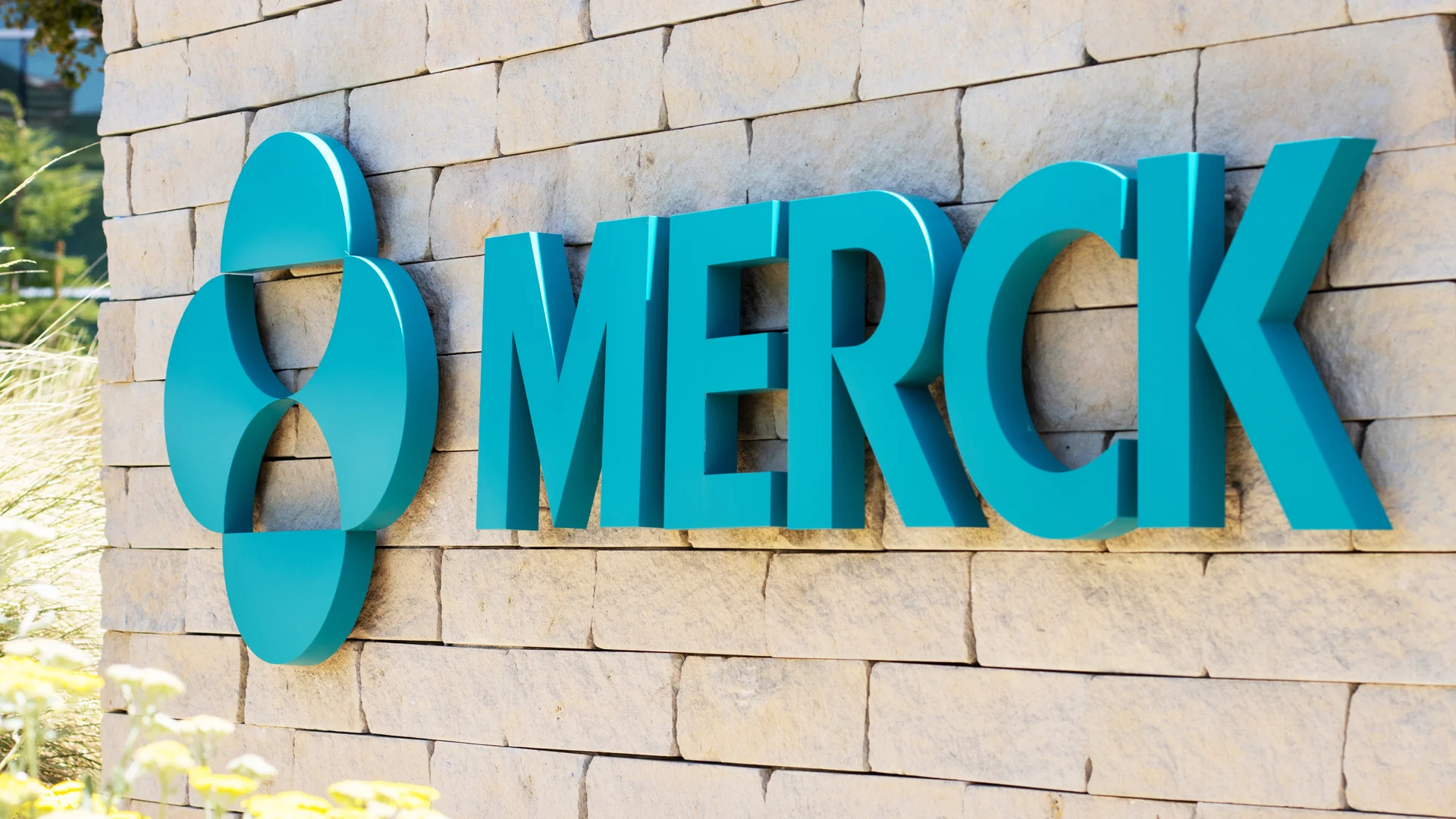 e2f9d company merck new cholesterol pill inc