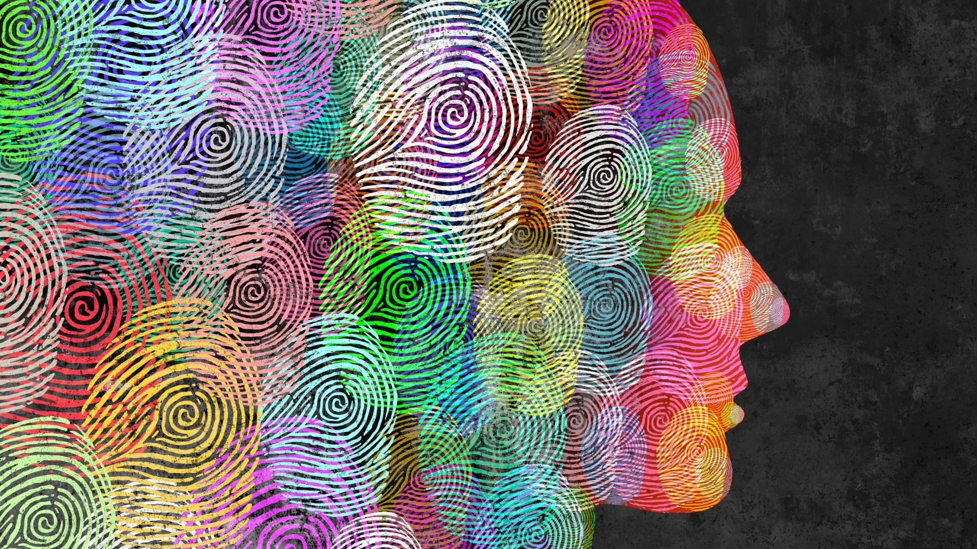 e5637 company ILF Chris Schembri 11.26